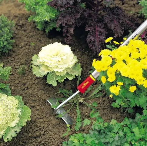 WOLF-GARTEN Multi-Change Small Draw Hoe - Image 2