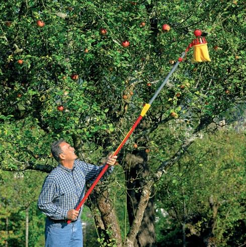 WOLF-GARTEN Multi-Change Adjustable Fruit Picker - Image 2