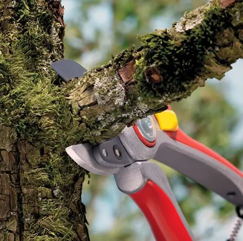 WOLF-GARTEN Professional Anvil Secateurs - Image 3