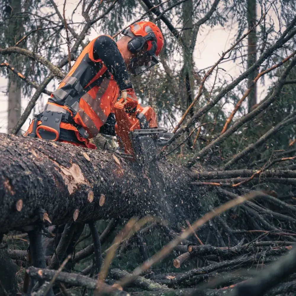 HUSQVARNA 592 XP Petrol Chainsaw - Image 3