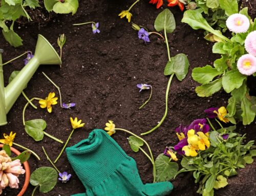 How to prepare your garden for summer