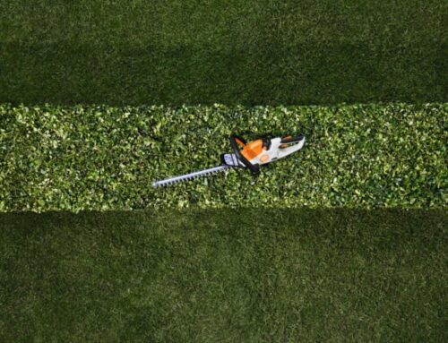 How to sharpen your hedge trimmer blades