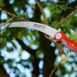 a pruning saw cutting a branch