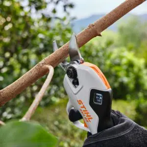 STIHL battery secateurs cutting a branch of a tree