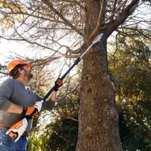 a man using pole pruners to prune a tree