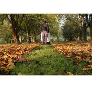 a man clearing fallen leaves from a field using a leaf and litter vacuum