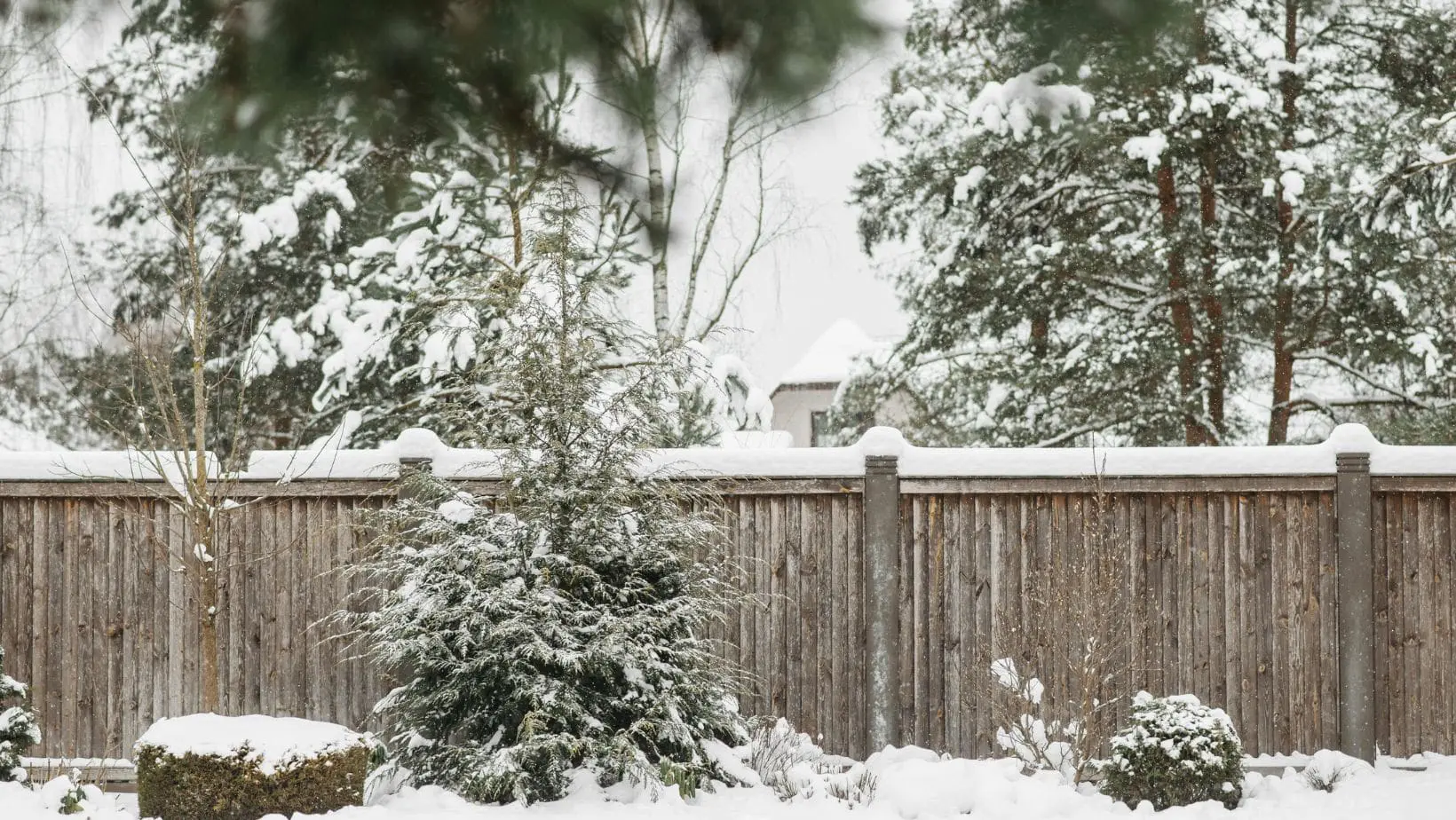 a garden fence and trees covered in snow