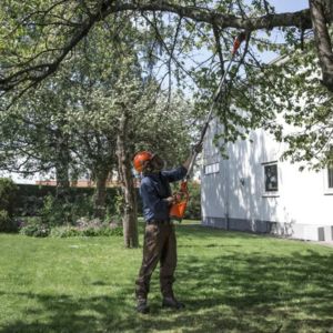 a man in a garden, wearing a hardhat, pruning a tree using the Husqvarna 120iTK4-P Cordless Pole Pruner