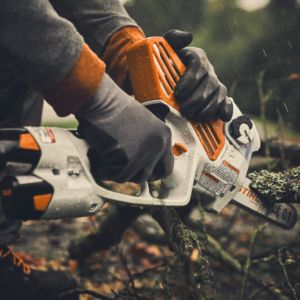 someone winter pruning using the STIHL GTA 40 Cordless Pruner