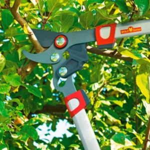 winter pruning with Wolf-Garten Telescopic Bypass Loppers