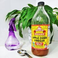 a bottle of apple cider vinegar, metal spoon, spray gun and plant