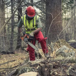 a man dressed in full garden PPE, including helmet, operating a chainsaw