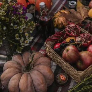 freshly harvested pumpkins, apples and squash