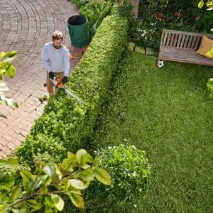 a man trimming the top of a front garden hedge