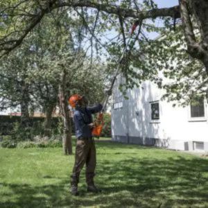 a man wearing a helmet as garden PPE, operating a pole pruner
