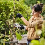 a woman pruning a plant with cordless secateurs