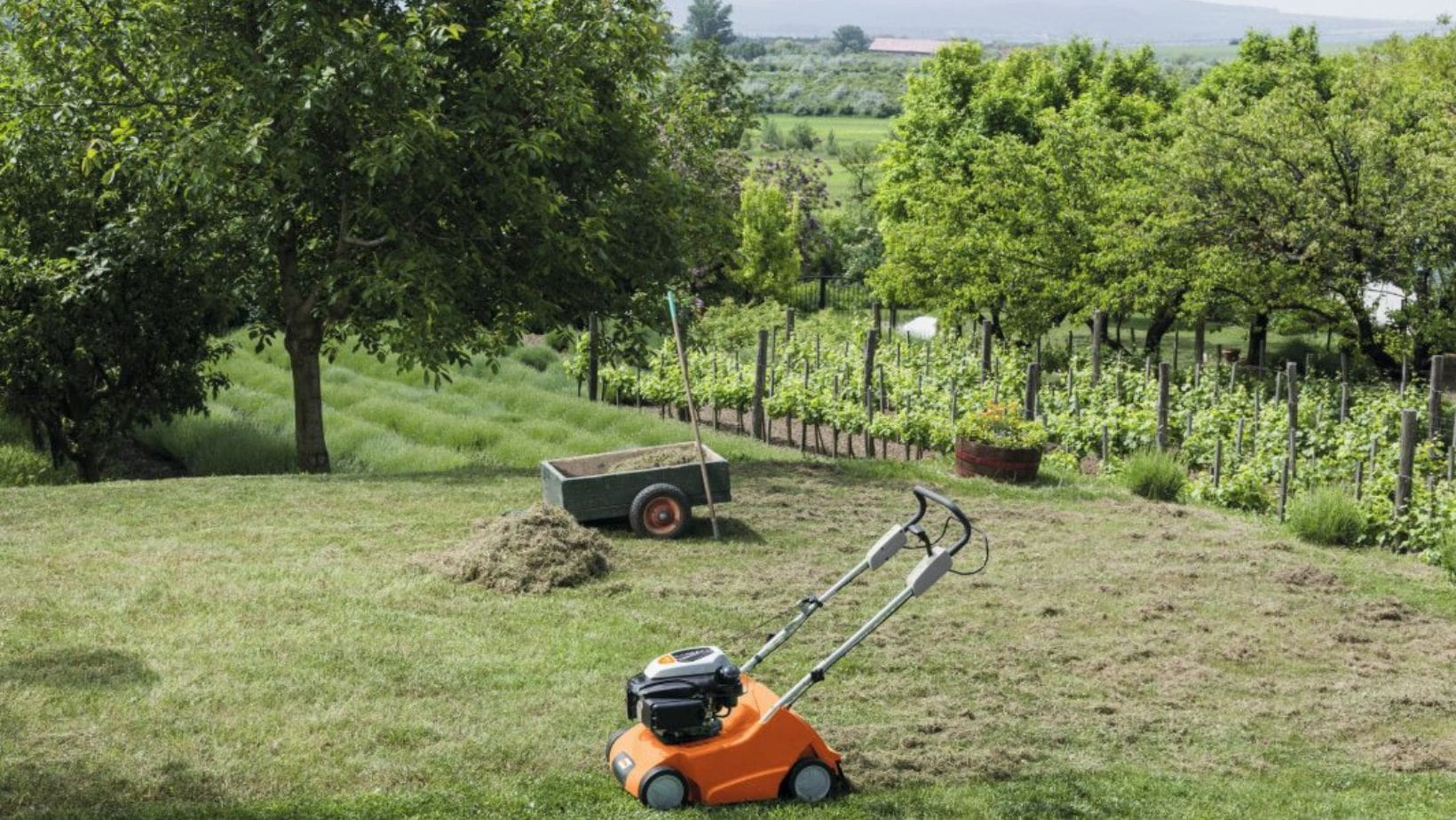 an orange scarifier in a field, with trees and a pile of thatch in the background