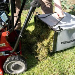 someone holding a scarifier's collector box, which is full of grass and thatch