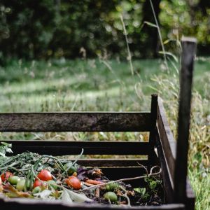 a wooden slatted compost bin containing green garden waste
