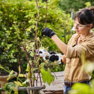 a woman pruning a potted plant, using STIHL cordless secateurs