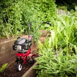 the Mountfield Manor Compact 36V Tiller on a small strip of soil in a garden, surrounded by plants