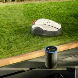 a shot taken from inside a house of a Honda Miimo robotic lawn mower cutting grass