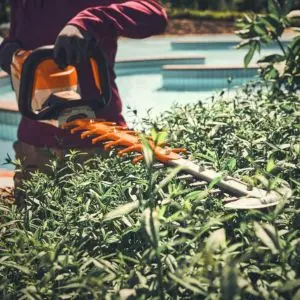 a close-up of the STIHL HSA 140 Cordless Hedge Trimmer in action