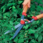 someone using Wolf-Garten Variable Hedge Shears to trim a hedge