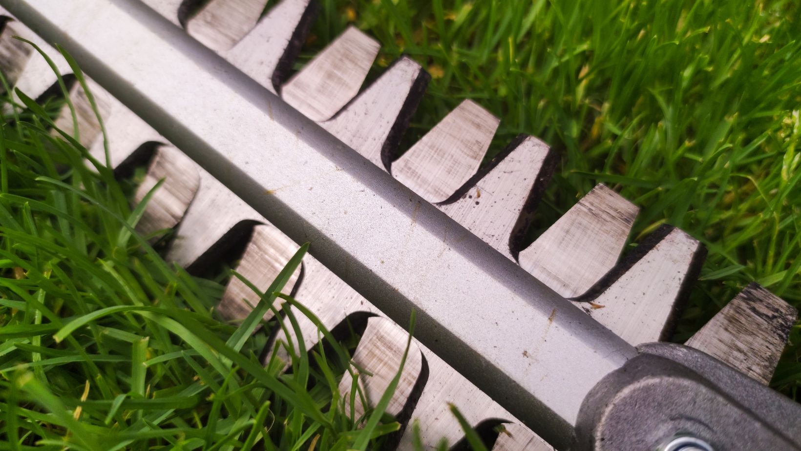 a close-up of a double-sided hedge trimmer blade, laid on grass