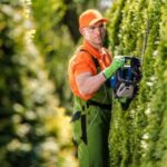 a man dressed in orange and green, leant close to a hedge, carefully trimming it
