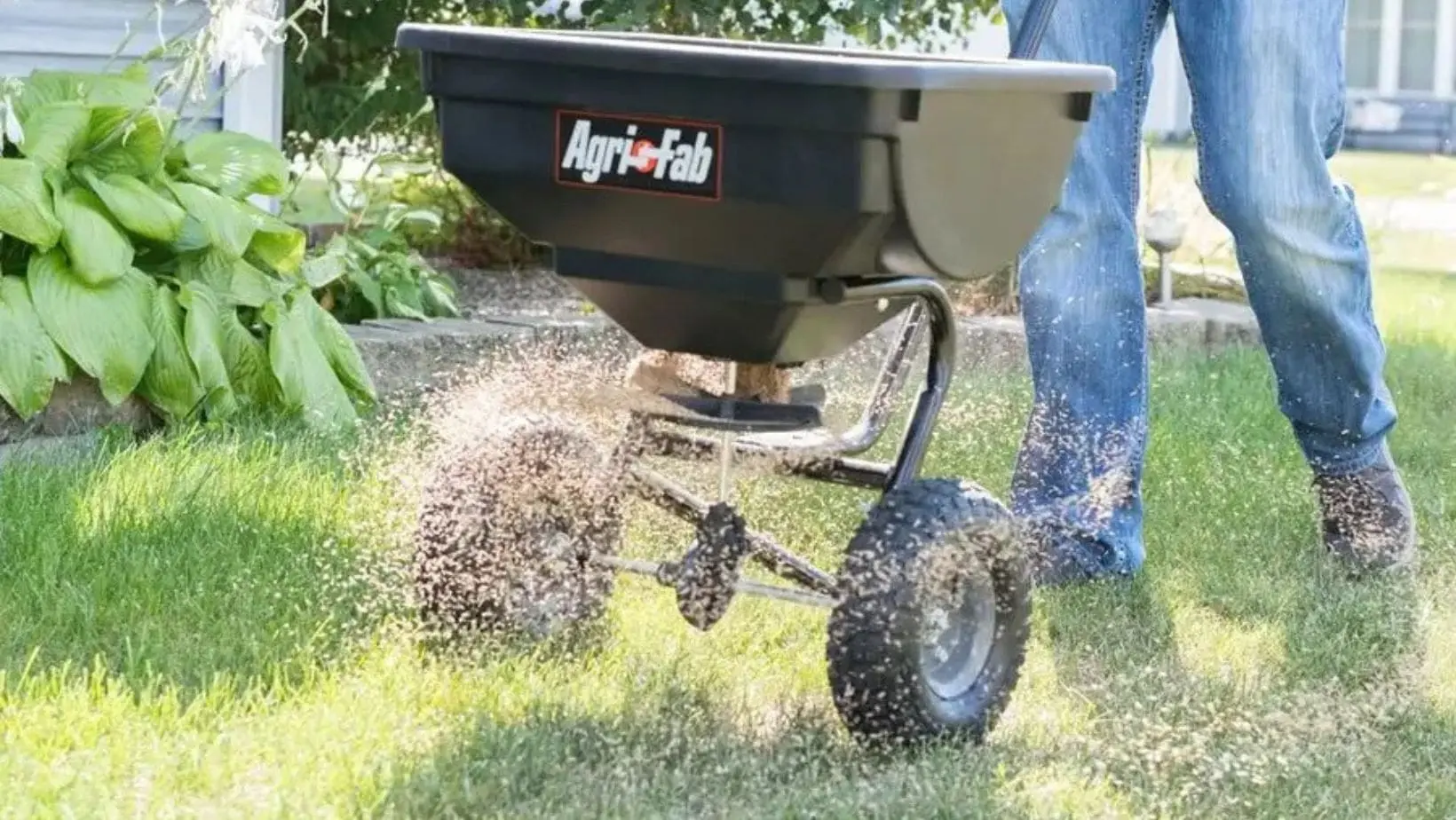 a man using an Agri-Fab 45-0531 Deluxe Push Spreader to dispense lawn seed