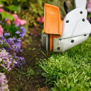the STIHL FSA 30 Cordless Grass Trimmer cutting the edge of a lawn, next to a flowerbed