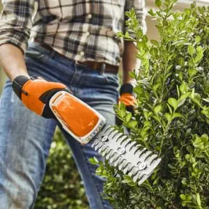 someone using the STIHL HSA 26 Cordless Hedge Trimmer to prune a shrub