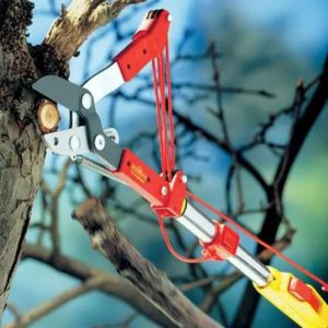 Wolf-Garten Multi-Change Anvil Tree Loppers removing a tree branch