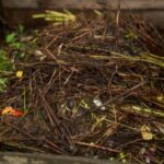 a close up of an open compost bin in a garden
