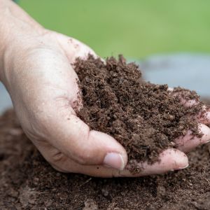 a white hand holding compost