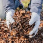 a close up of someone wearing white gloves holding a pile of mulch