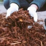 someone wearing white gloves, holding garden mulch