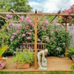 climbing plants, potted plants, and a classically styled stone ornament on garden decking, underneath a pergola