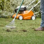 someone using a rake to remove thatch from a lawn, with an orange STIHL scarifier in the background
