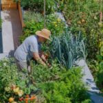 a woman wearing a hat, weeding in a garden that is full of plants