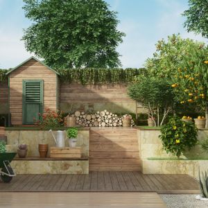 a tiered decked area in a garden, housing a shed, trees, logs, plant pots and a watering can