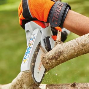 someone cutting a tree branch using the STIHL GTA 26 Cordless Garden Pruner