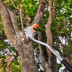 the STIHL GTA 26 battery pruning saw attached to an extension shaft, cutting a tree branch