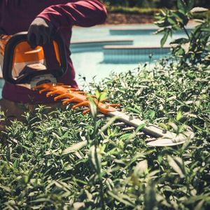 someone wearing a red, long-sleeved top and gloves, using the STIHL HSA 140 Cordless Hedge Trimmer to cut the top of a hedge