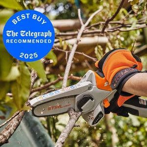 a close up of someone wearing orange and black gloves, using the STIHL GTA 26 Cordless Pruner, with a circular, blue and white sign in the top left-hand corner of the image proclaiming that this product is a Telegraph 'Best Buy' for 2025