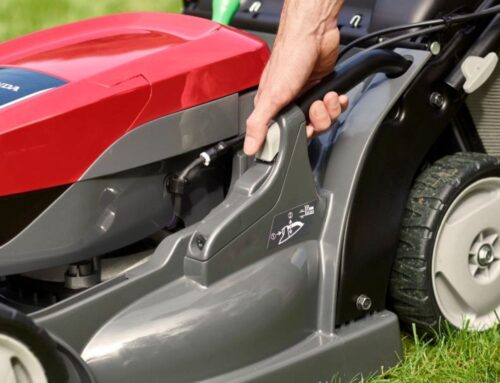 What Is the Right Lawnmower Cutting Height for Autumn?