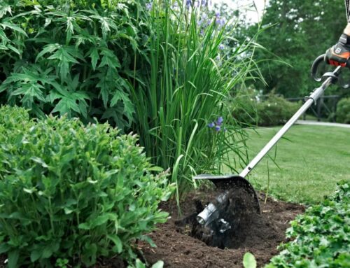 How to Refresh a Garden Border in Autumn