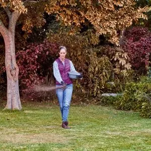 a woman sprinkling grass seed on a lawn