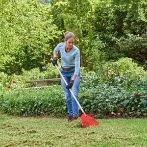 a woman raking thatch and moss from a lawn